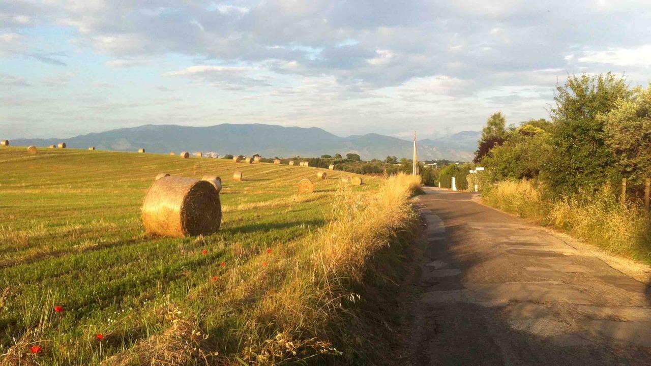 Photo of Others in Velletri