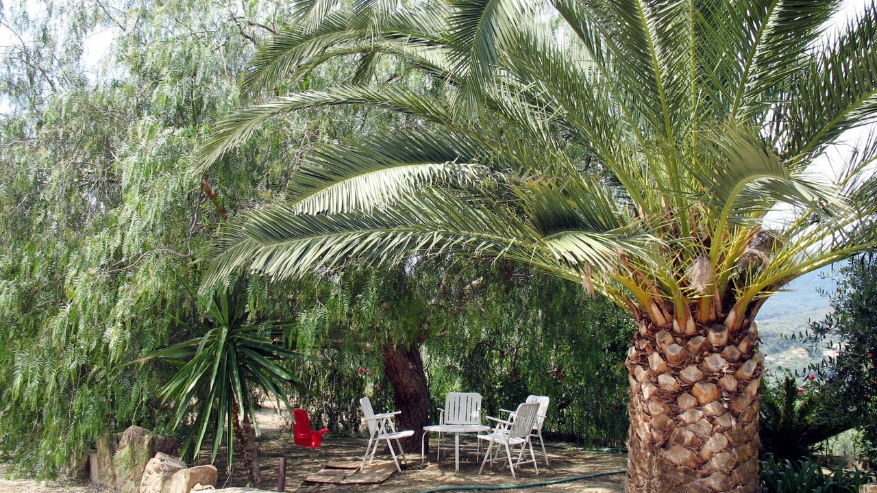 Photo of Others in Poggi