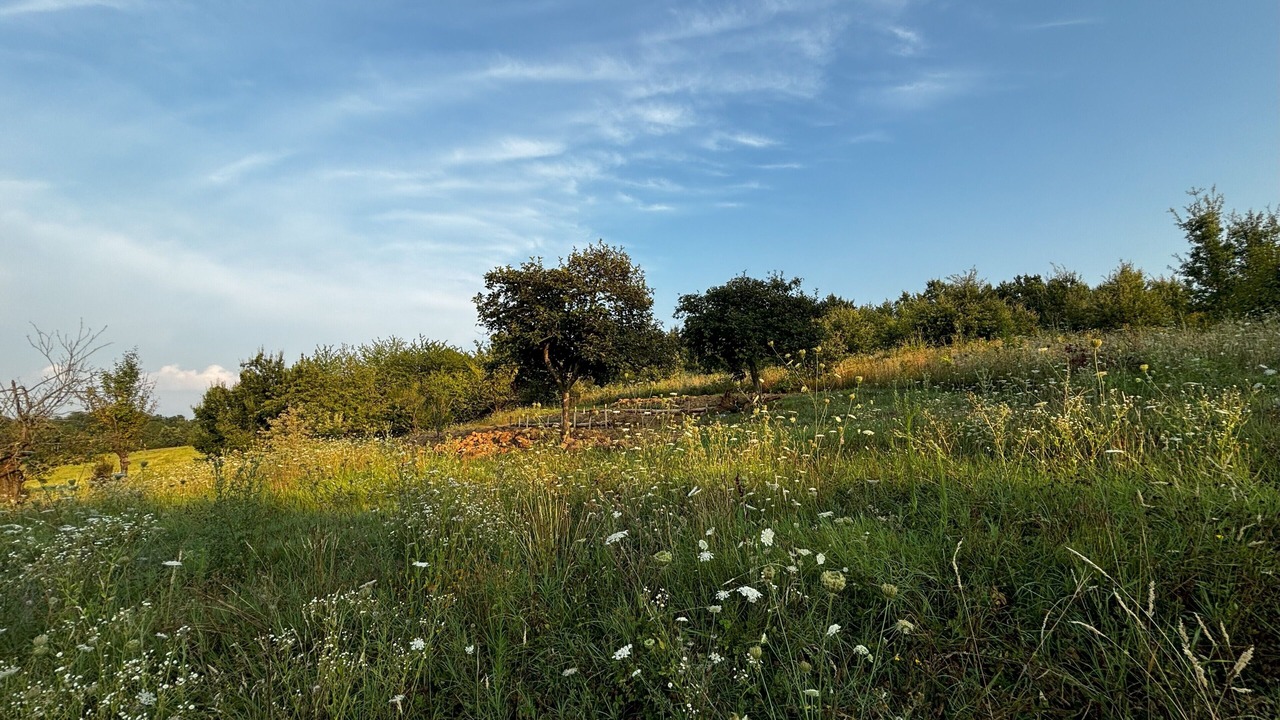 Photo of Others in San Nicolo