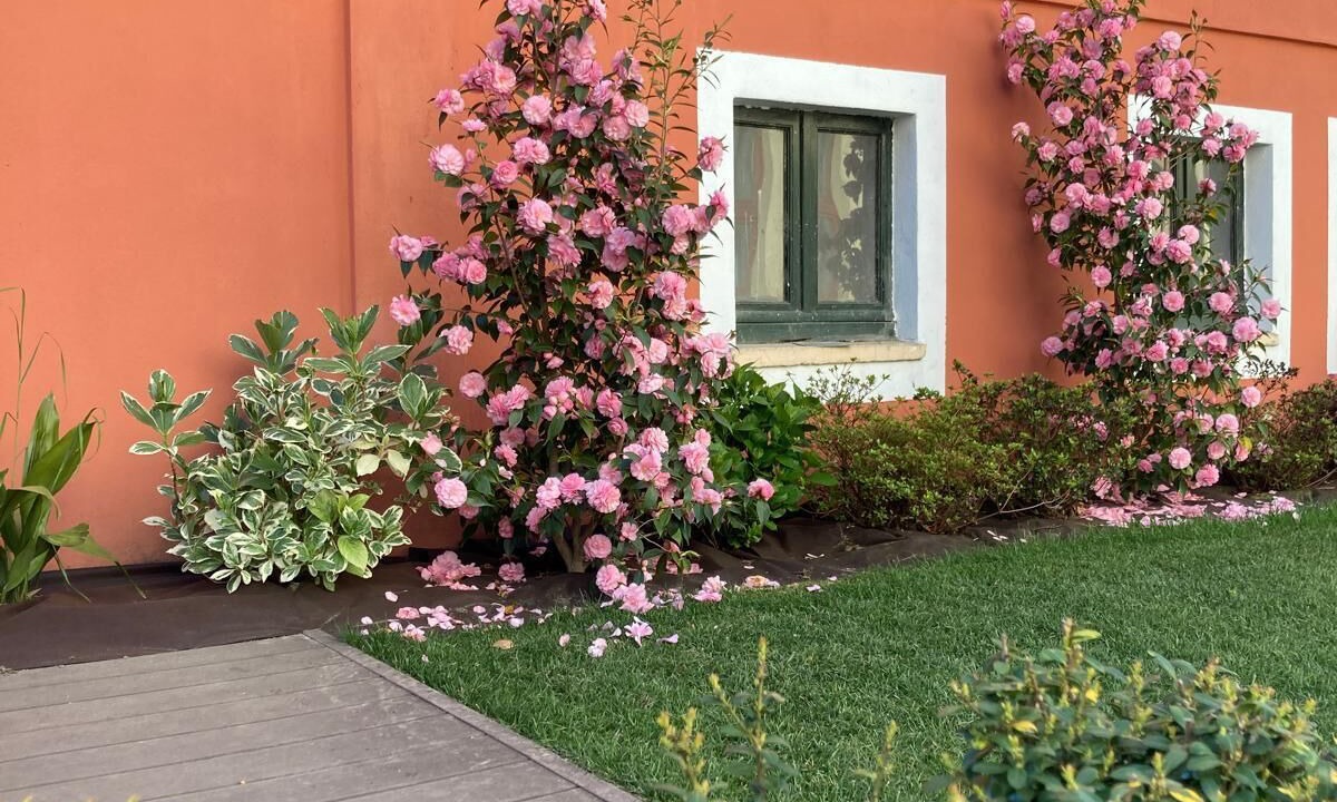 Photo of Outdoor in Germignaga