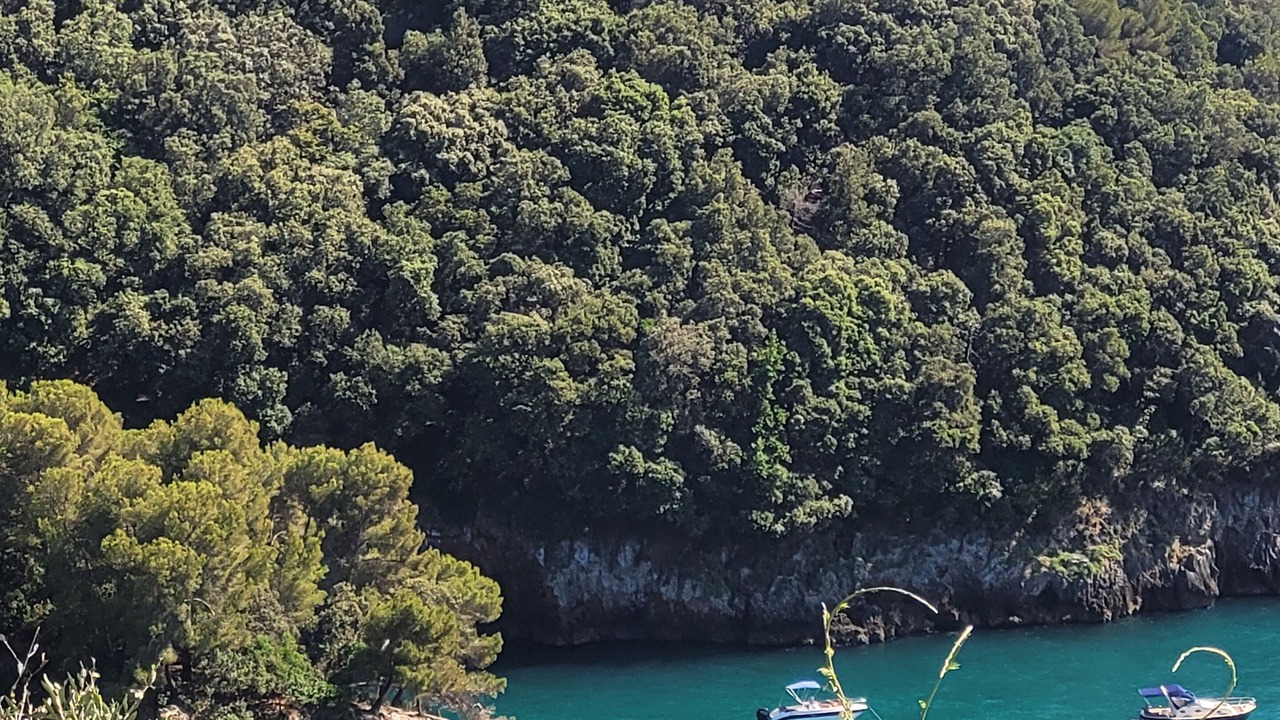Photo of Outdoor in Pitelli