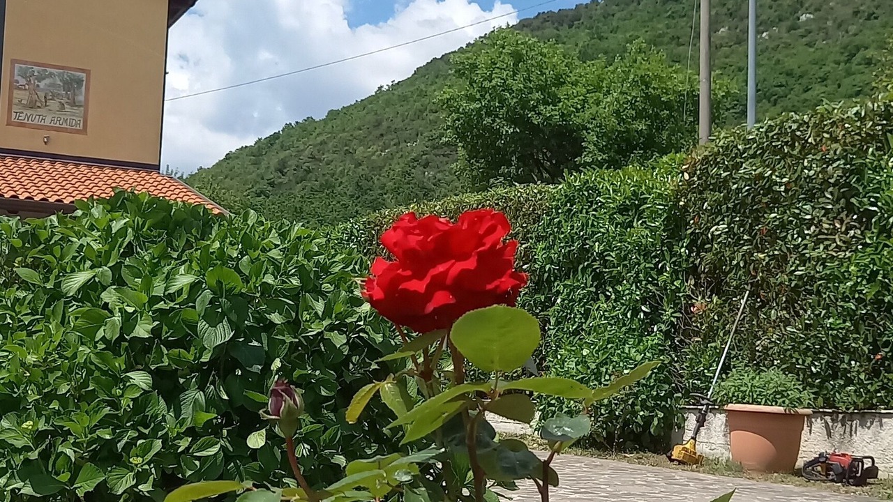 Photo of Outdoor in Liberi
