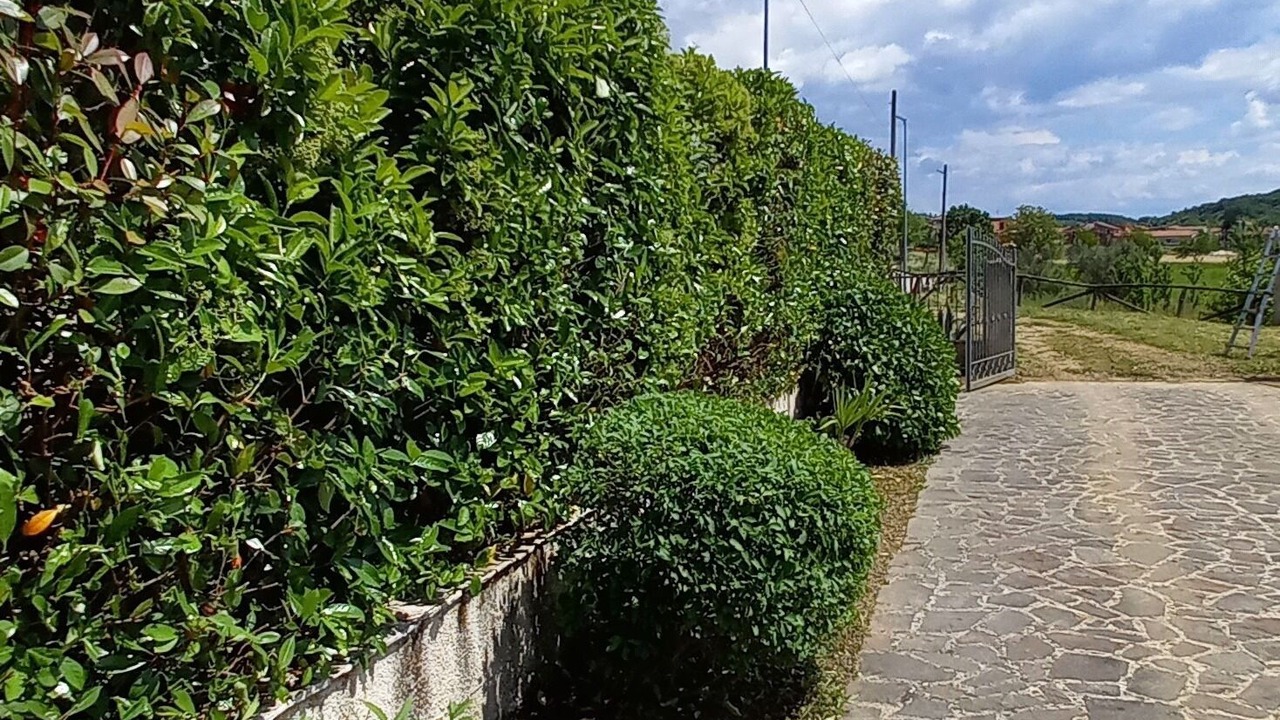Photo of Outdoor in Liberi