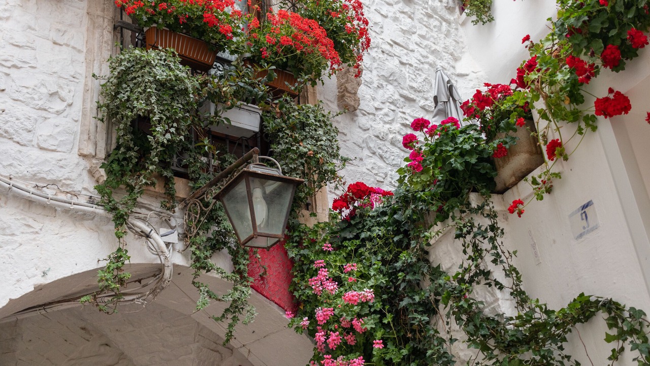 Photo of Outdoor in Old Town Cisternino