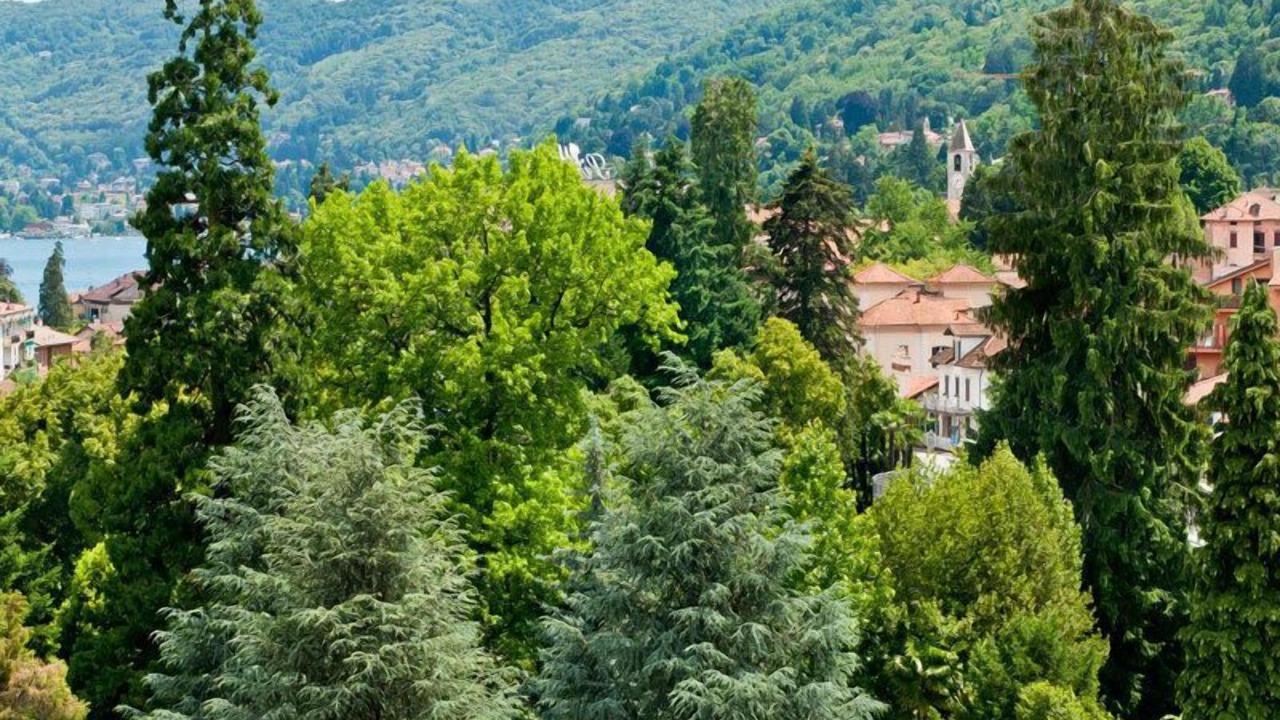 Photo of Outdoor in Baveno
