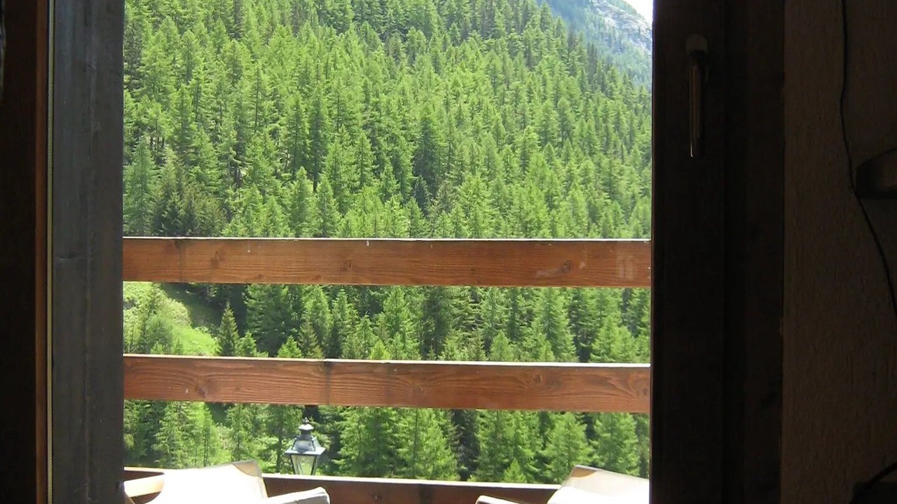 Photo of Outdoor in Valsavarenche