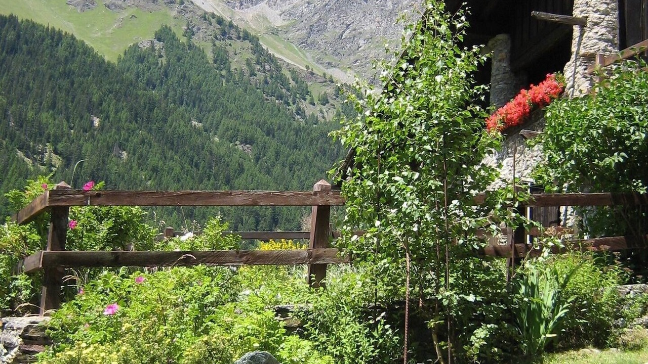 Photo of Outdoor in Valsavarenche