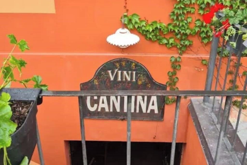 Photo of Outdoor in Barbaresco
