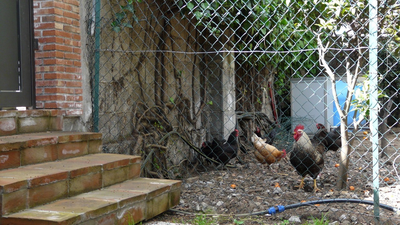 Photo of Outdoor in San Gregorio di Catania