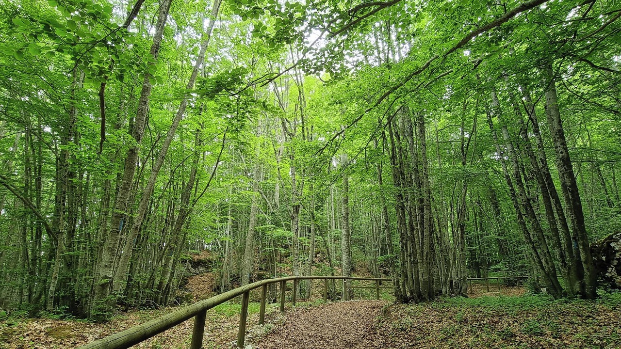 Photo of Outdoor in Valle del Sole