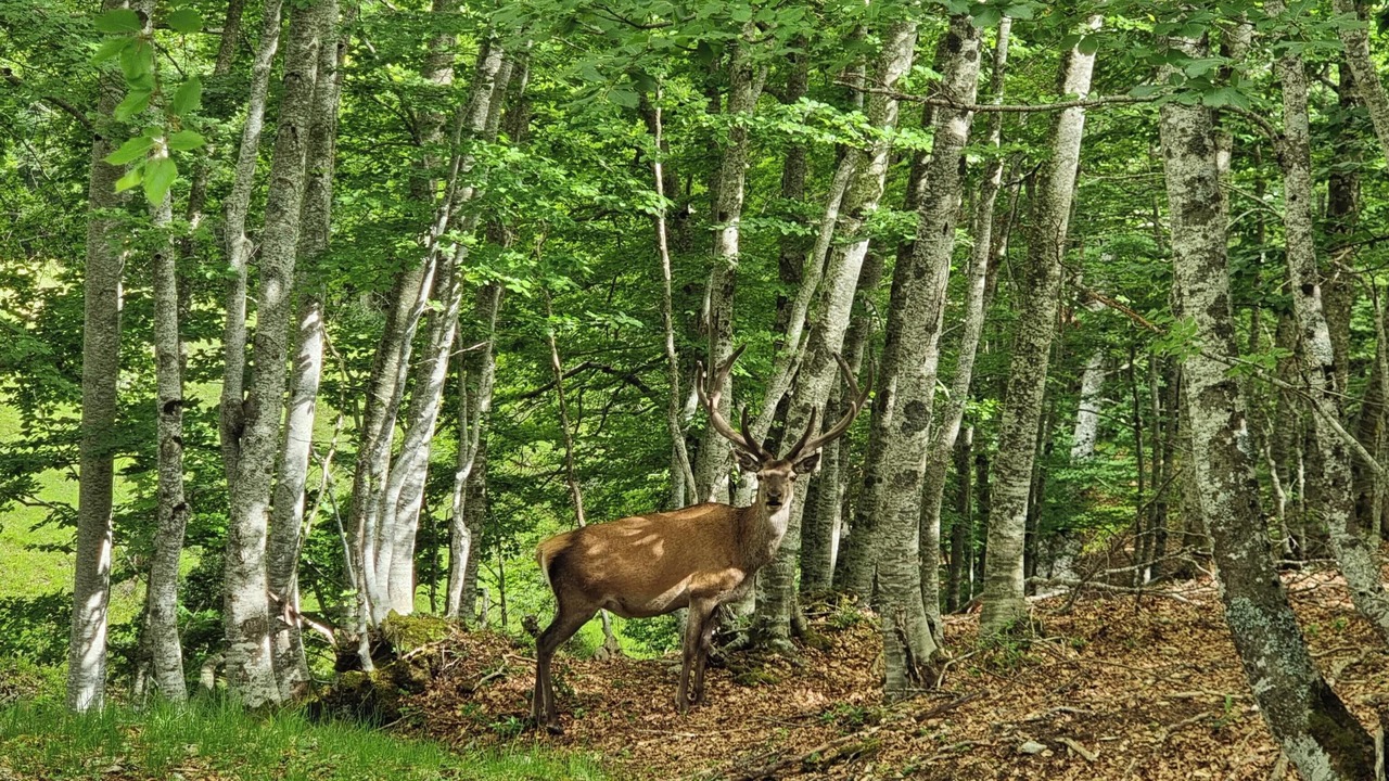 Photo of Others in Valle del Sole