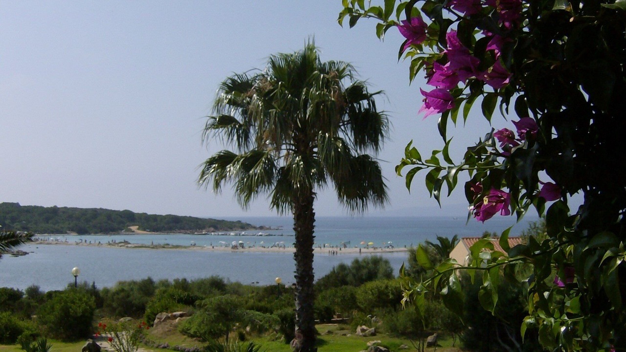 Photo of Outdoor in San Teodoro