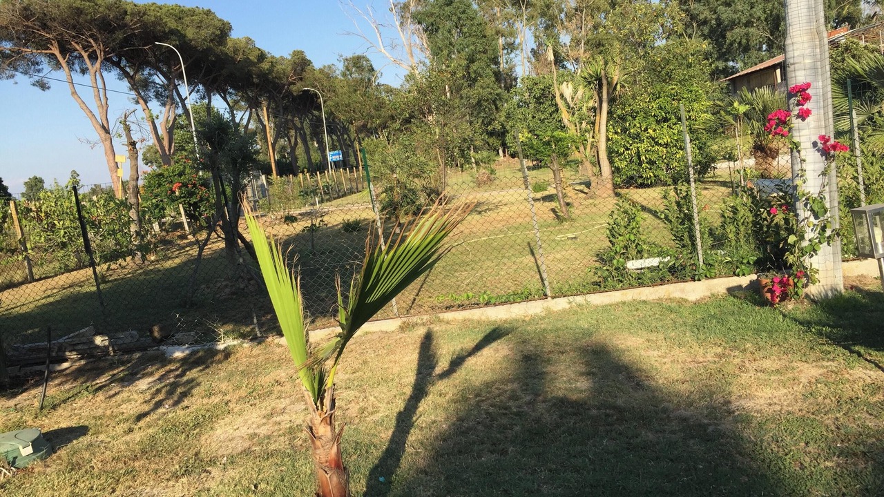 Photo of Others in Borgo Santa Maria