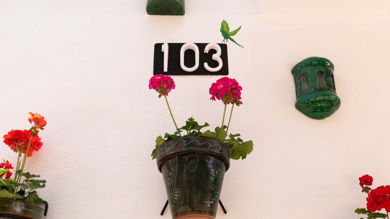 Photo of Outdoor in Historic Center of Estepona