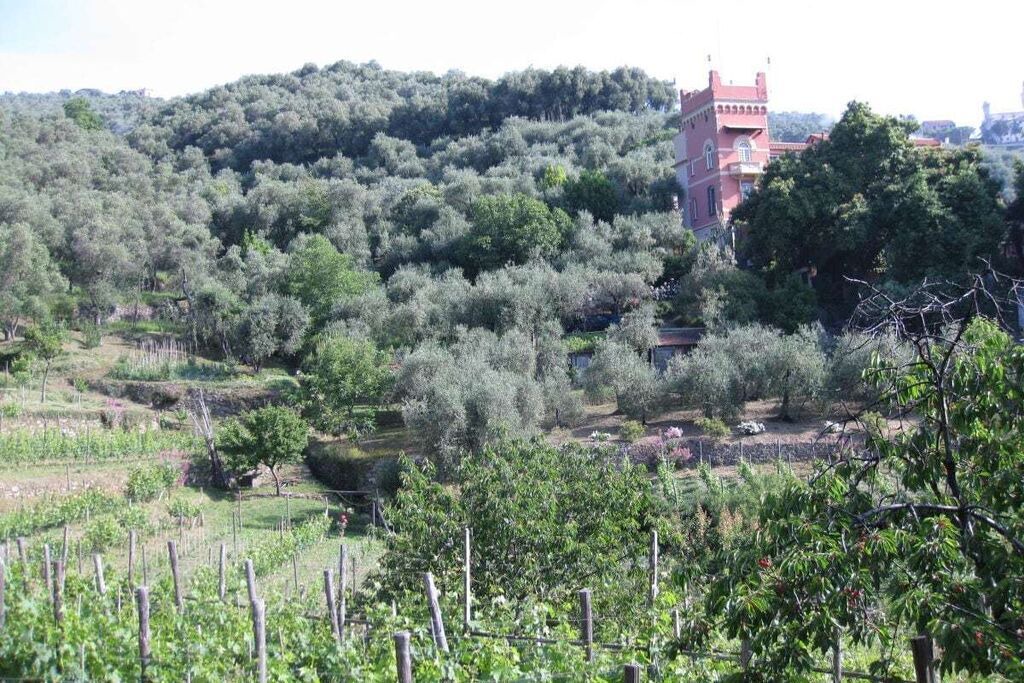 Photo of Others in Chiavari