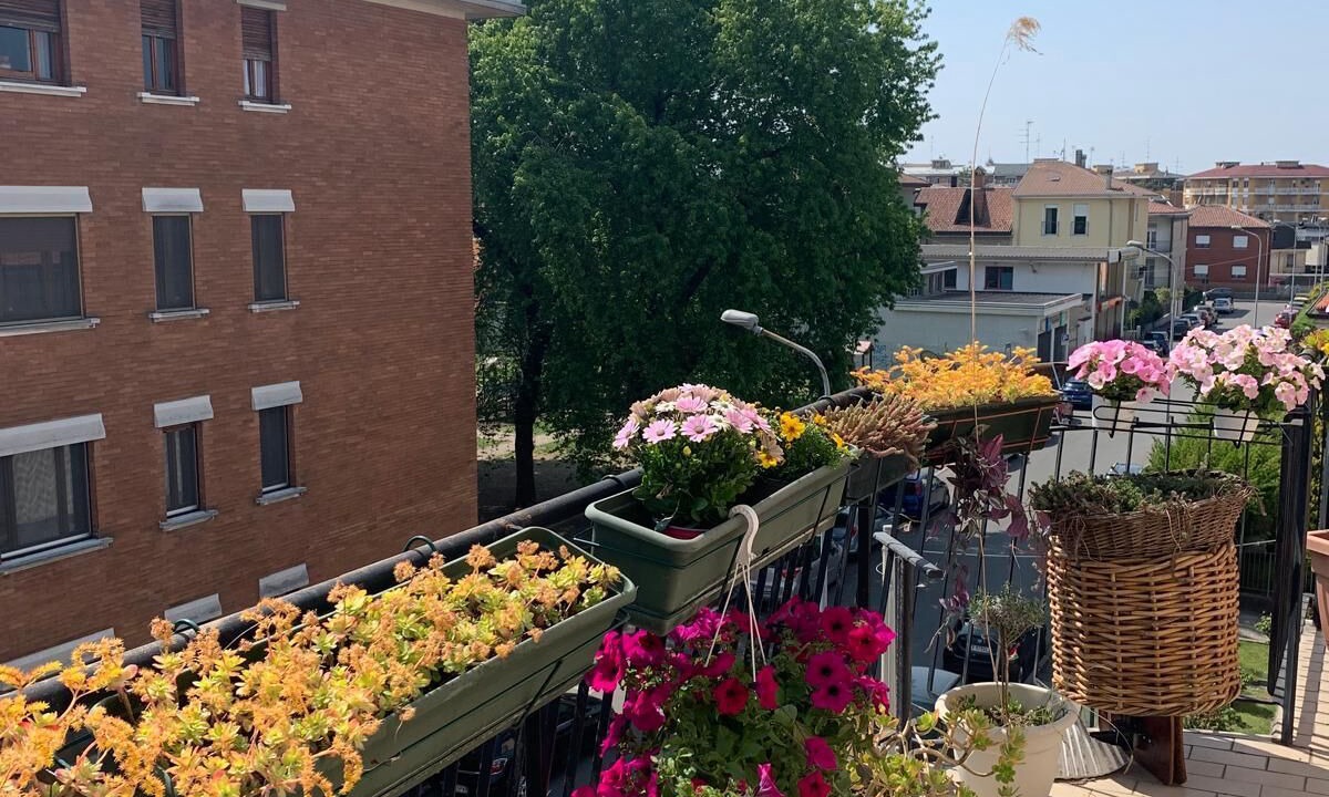 Photo of Outdoor in Novara