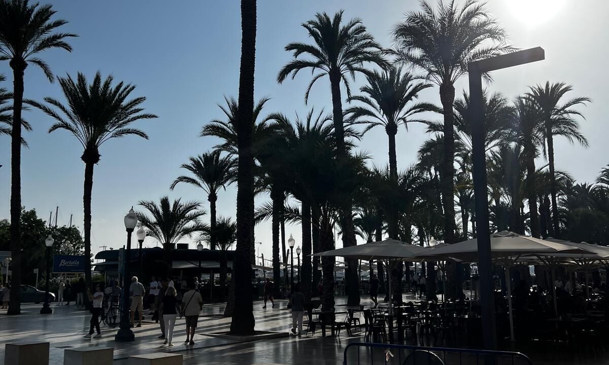 Photo of Outdoor in Playa de San Juan
