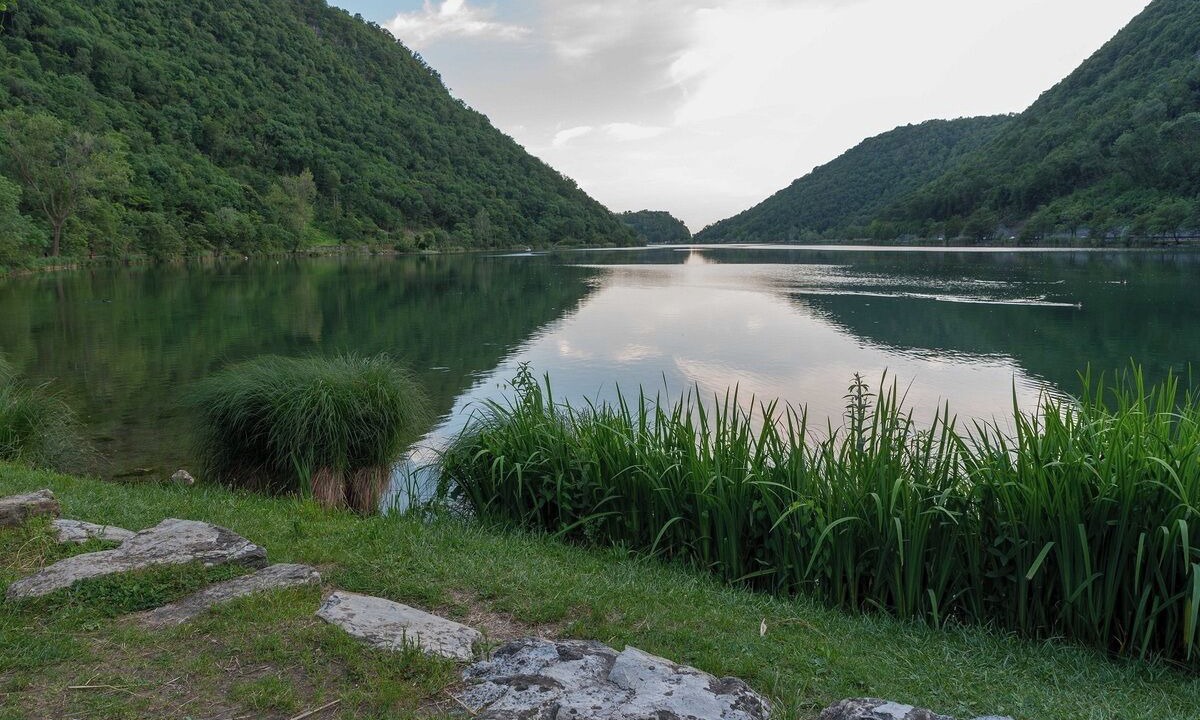 Photo of Outdoor in Carella
