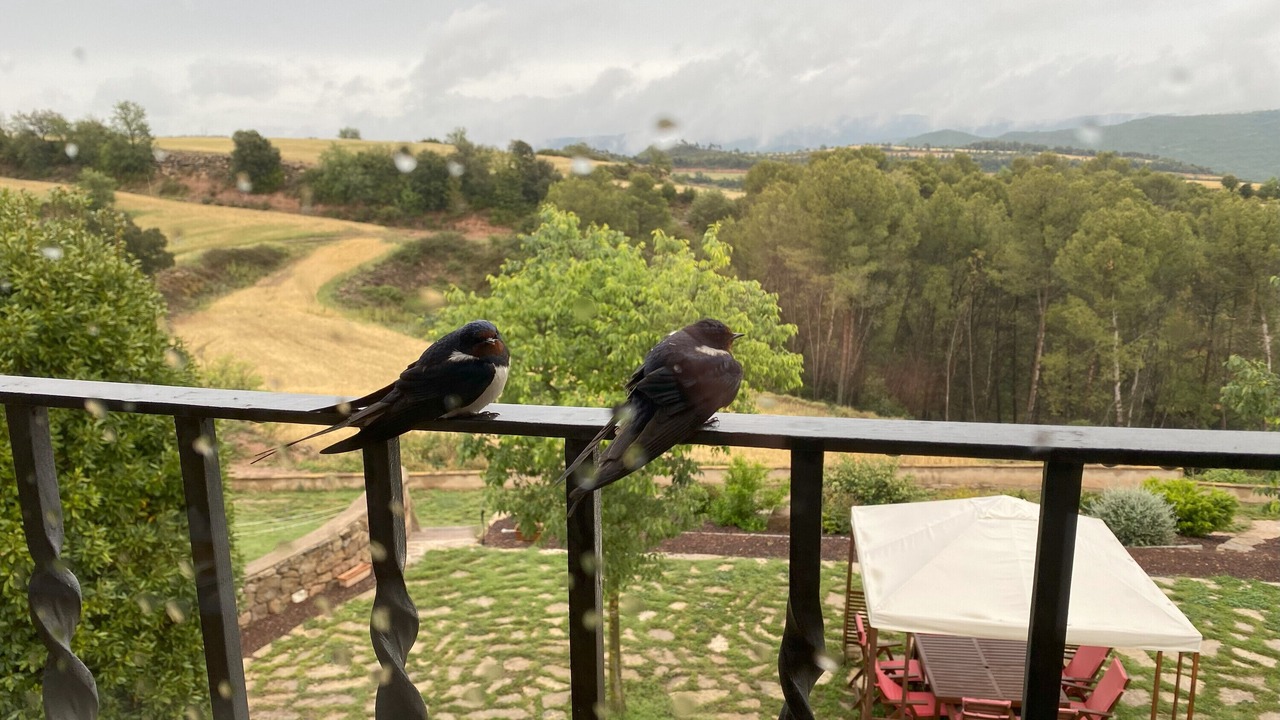 Photo of Outdoor in Aguilar de Segarra
