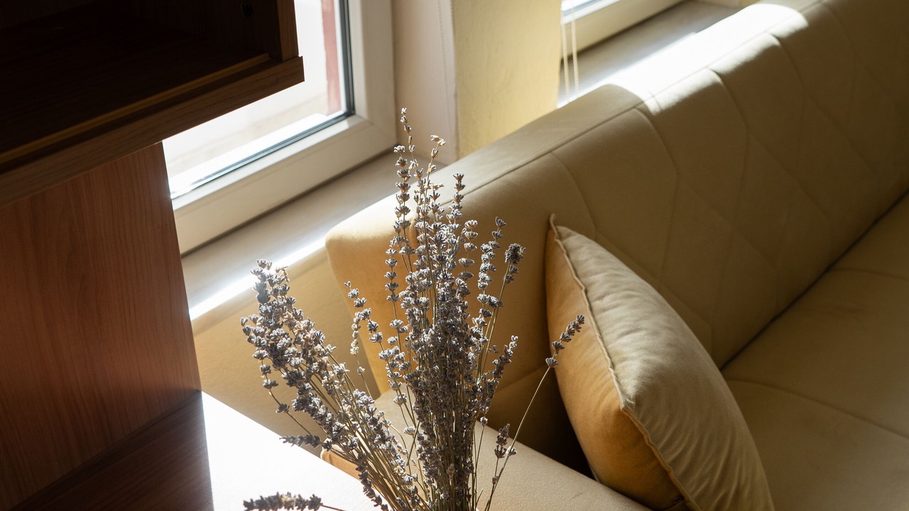 Photo of Livingroom in Gulsehir