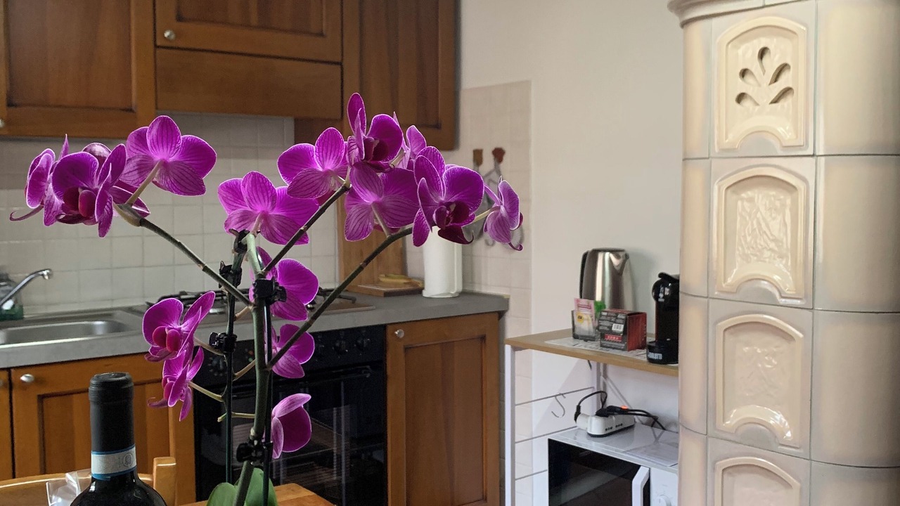 Photo of Kitchen in Marsaglia