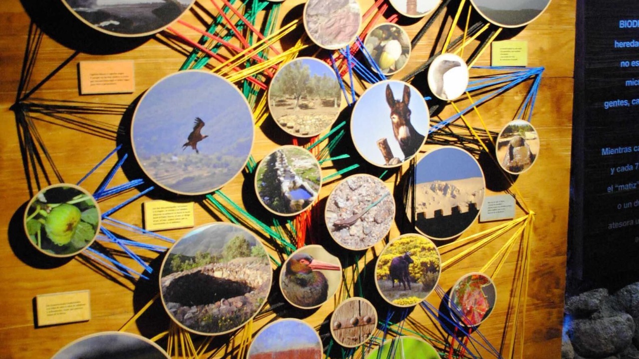 Photo of Others in San Martin del Castanar