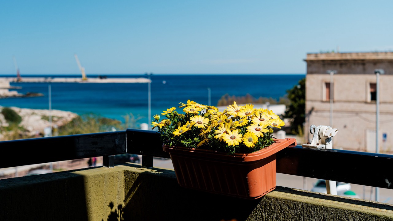 Photo of Outdoor in Monopoli