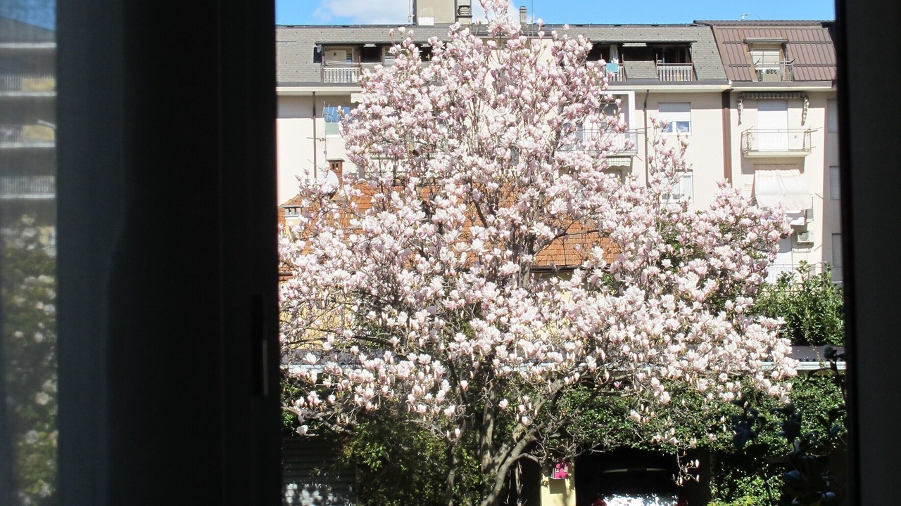 Photo of Others in Domodossola
