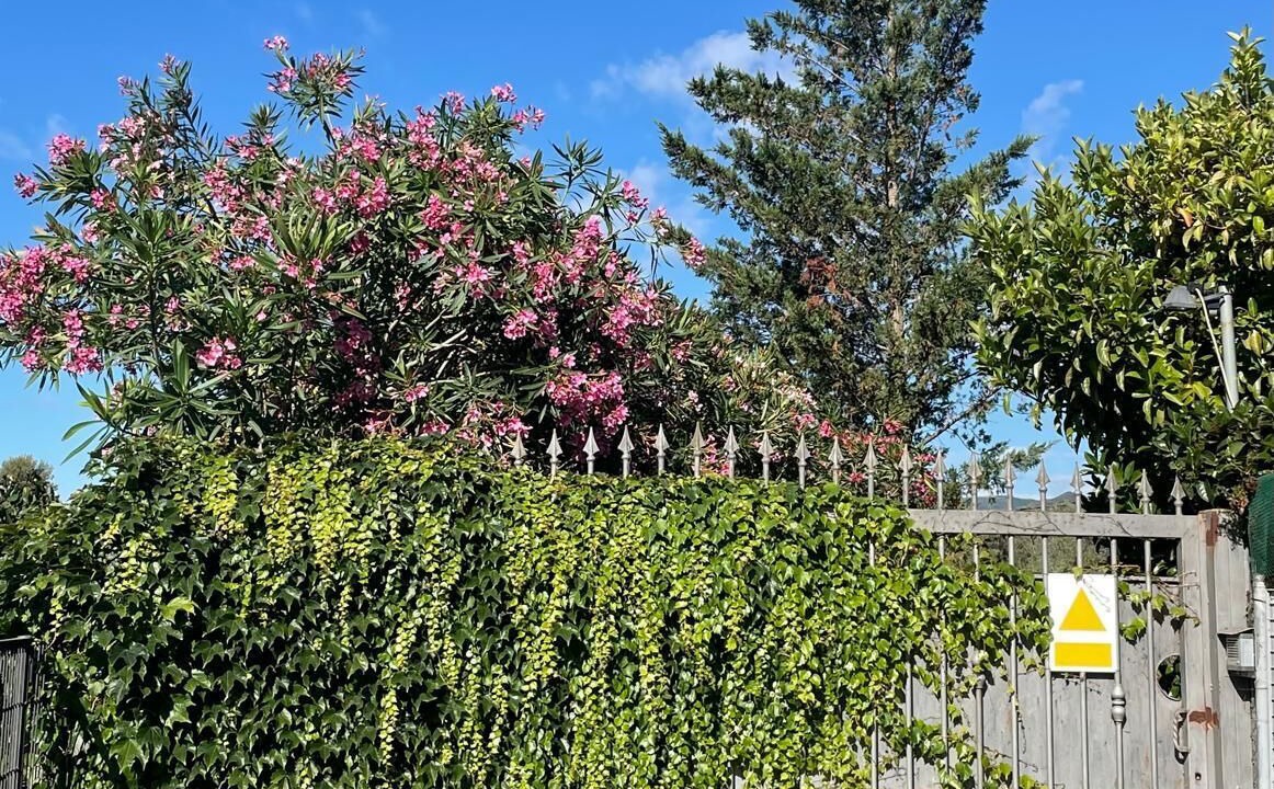 Photo of Outdoor in Botarell