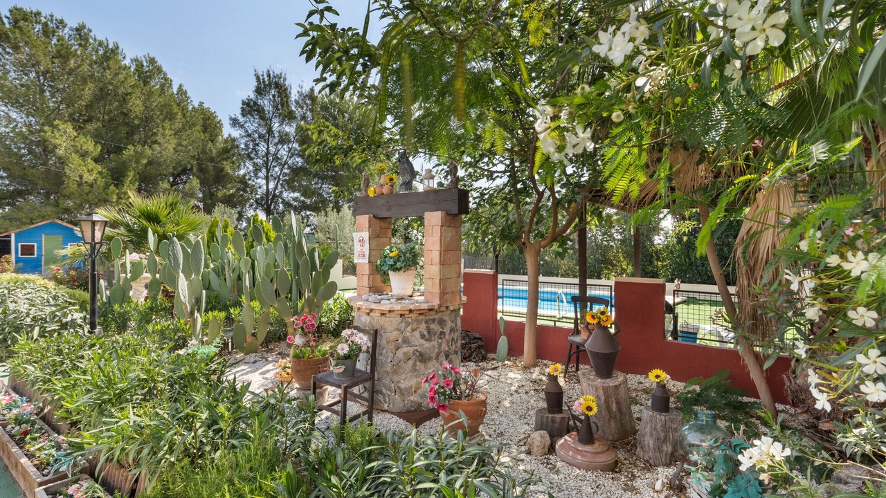 Photo of Outdoor in Cieza