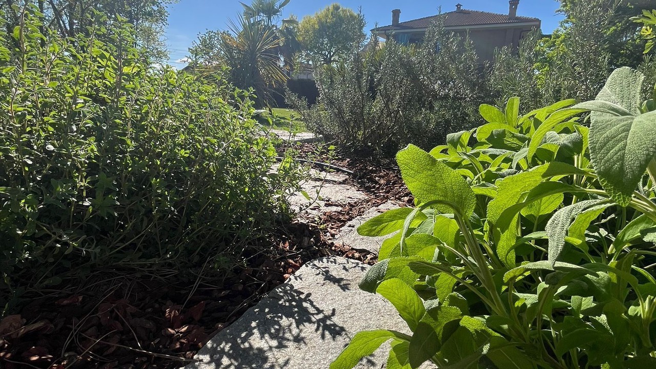Photo of Outdoor in Sanfre