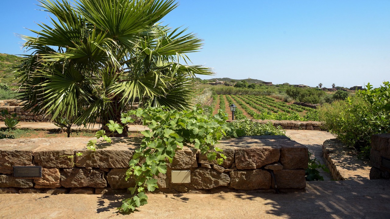 Photo of Outdoor in Pantelleria