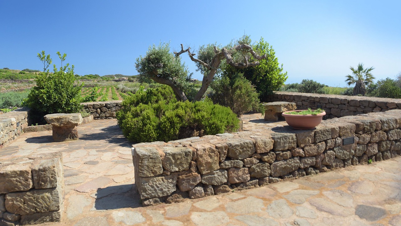 Photo of Outdoor in Pantelleria