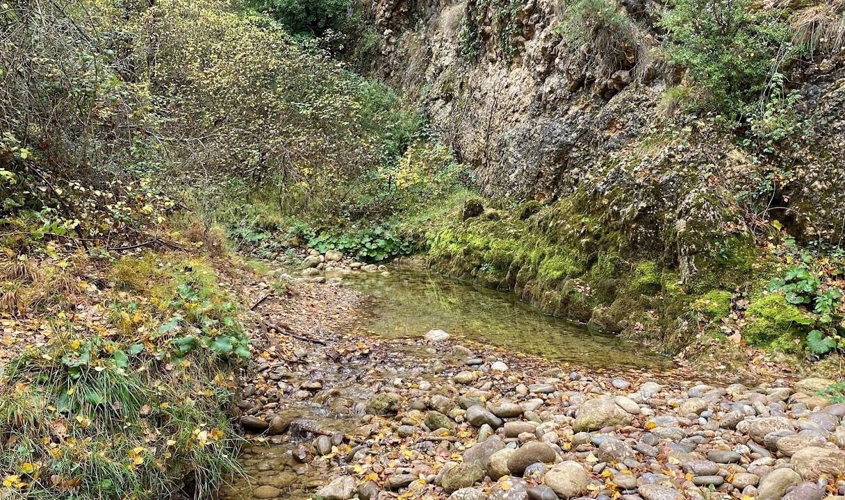Photo of Outdoor in Tolva