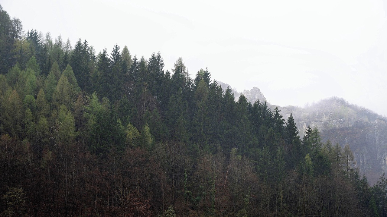 Photo of Others in Vernante