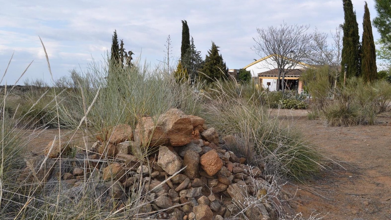 Photo of Outdoor in Mora