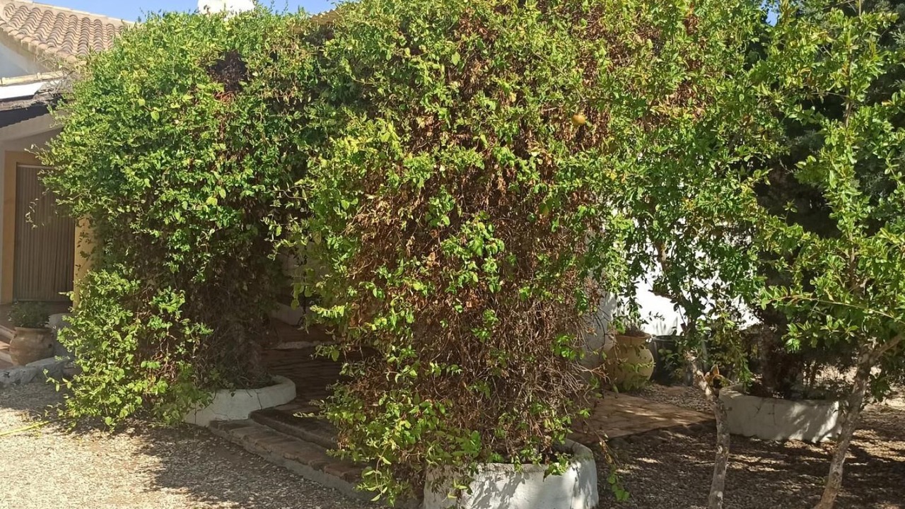 Photo of Outdoor in Mora