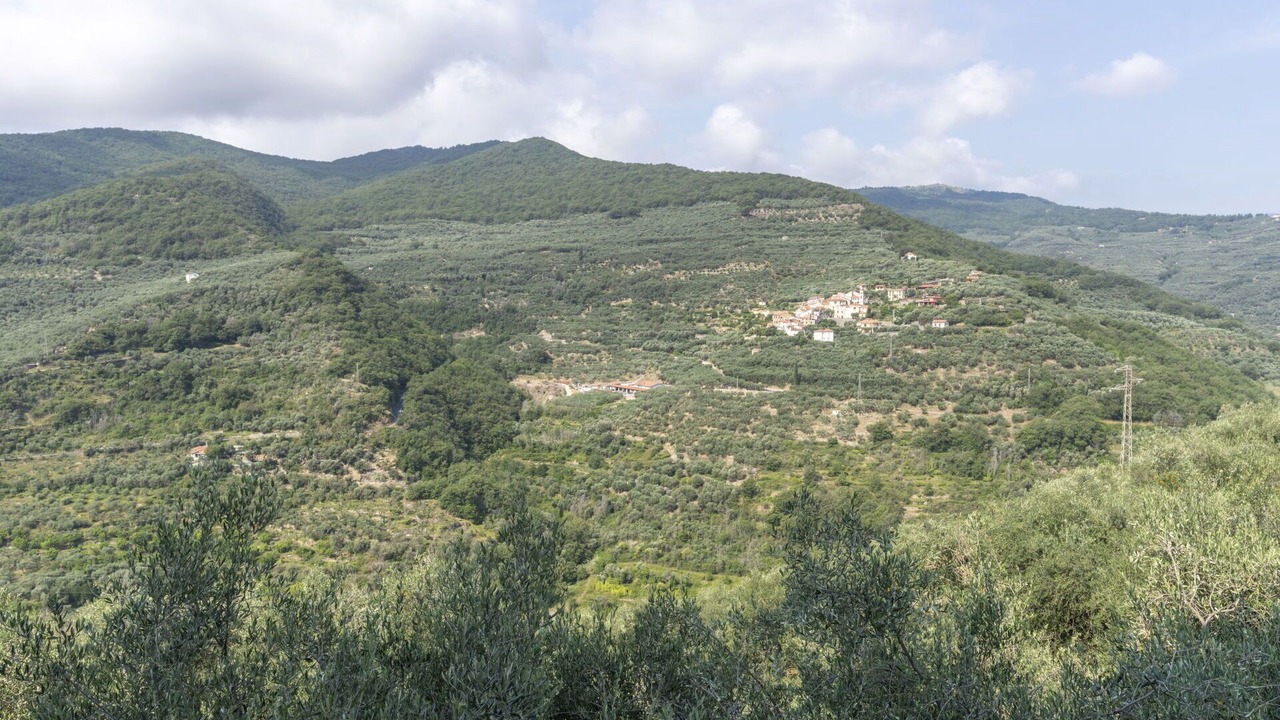 Photo of Outdoor in Gazzelli
