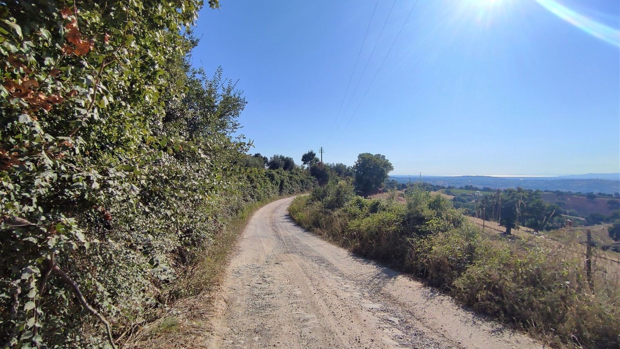Photo of Others in Scansano