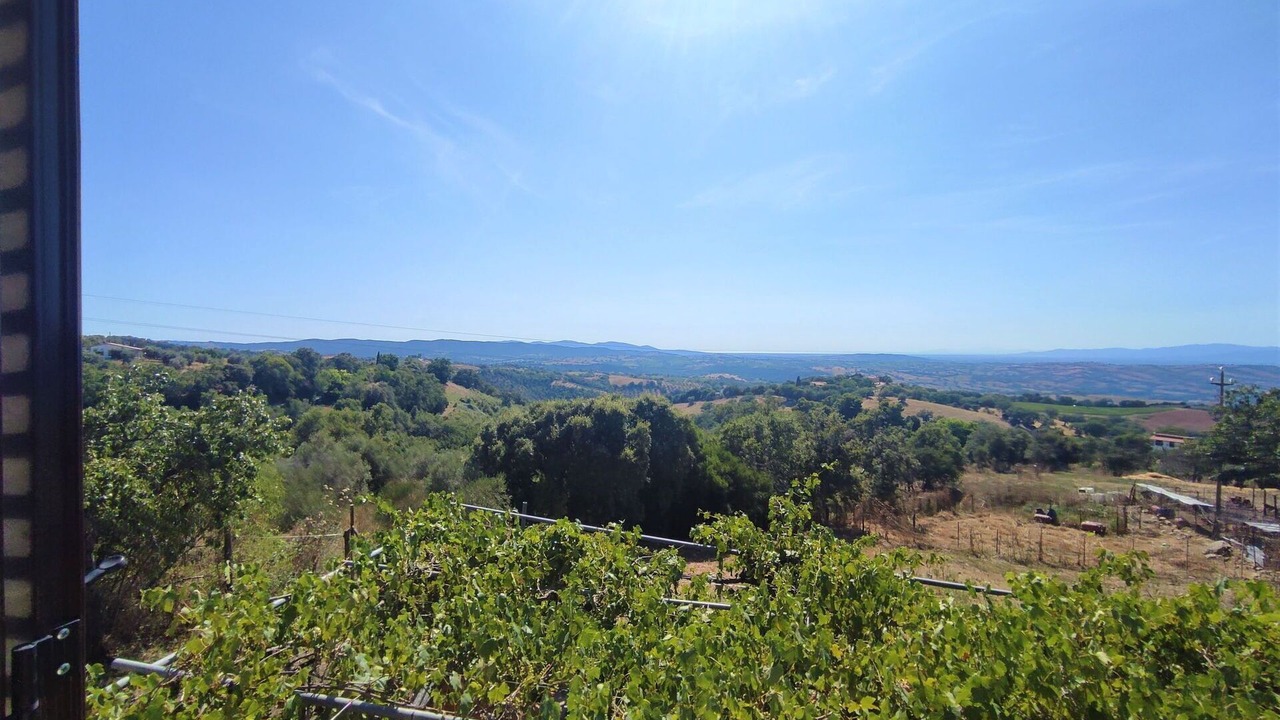 Photo of Others in Scansano