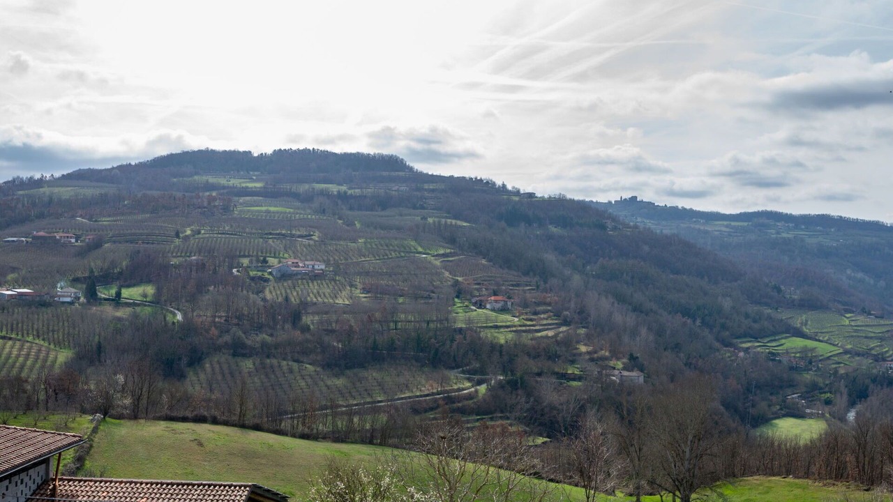 Photo of Outdoor in Cortemilia