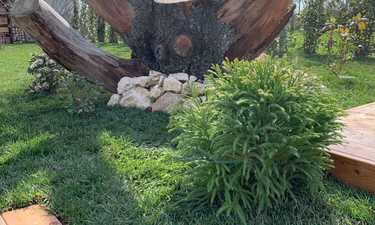 Photo of Outdoor in Campo Di Carne
