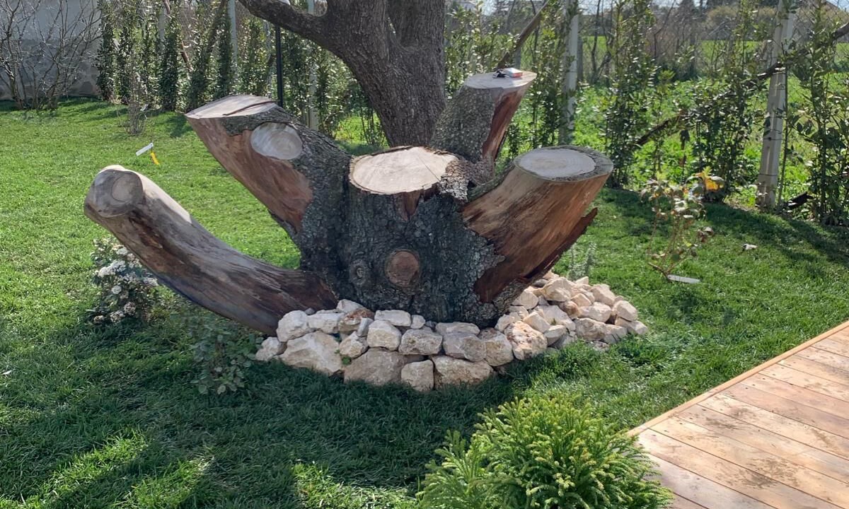 Photo of Outdoor in Campo Di Carne