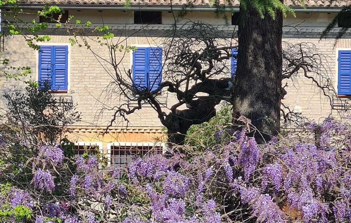 Photo of Outdoor in Albinea