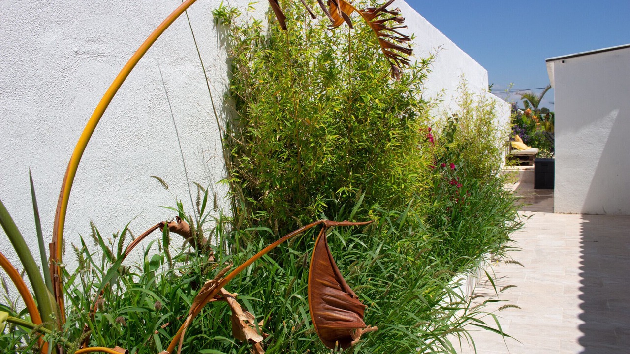 Photo of Outdoor in El Castell de Montornes