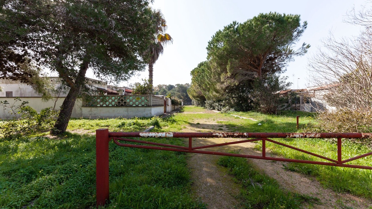 Photo of Outdoor in Torre dell'Orso
