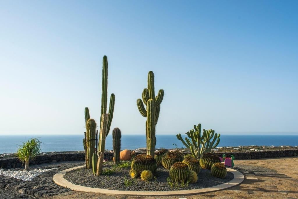 Photo of Outdoor in Pantelleria