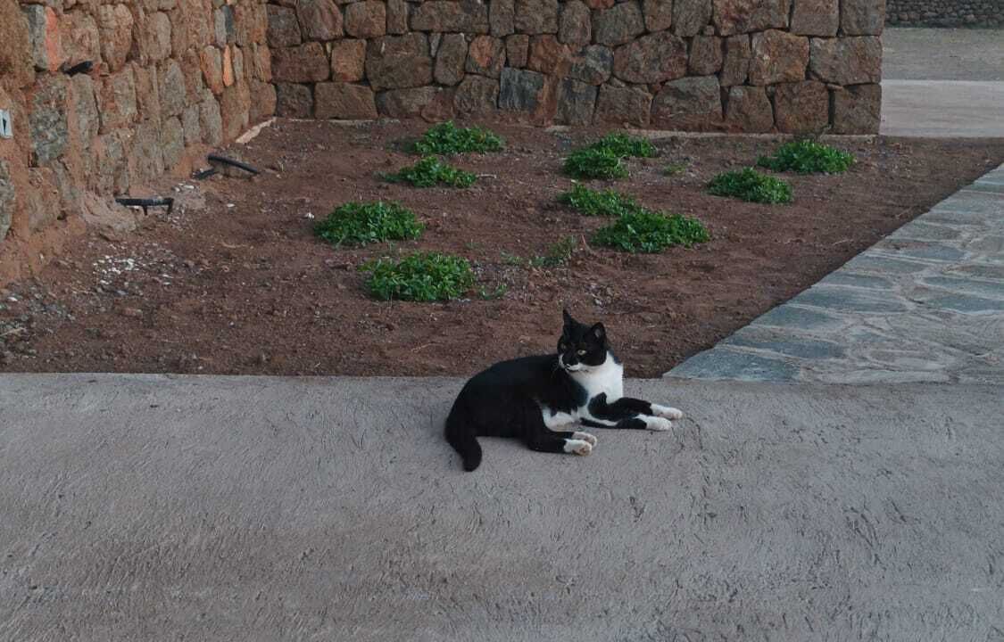 Photo of Outdoor in Pantelleria