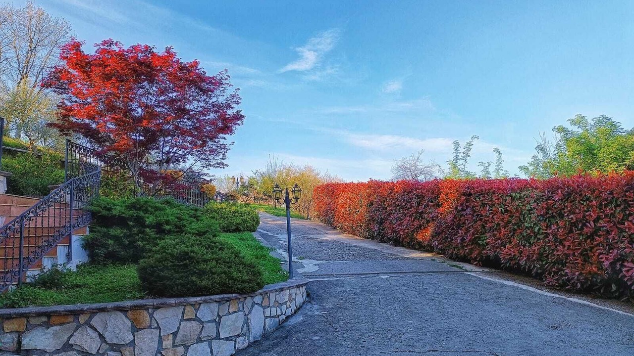Photo of Outdoor in Montelanico