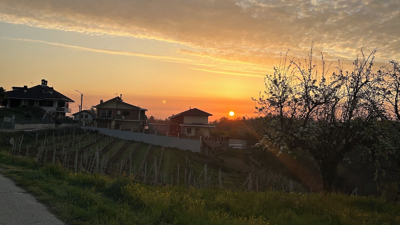 Photo of Others in Cisterna d'Asti